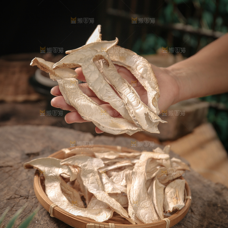 白松茸