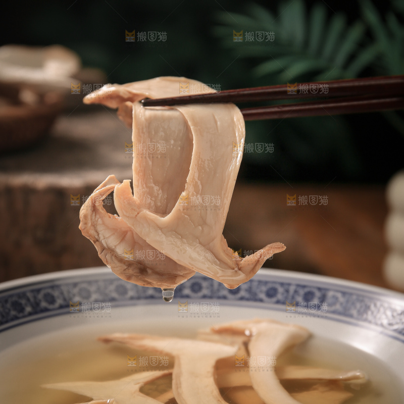 白松茸