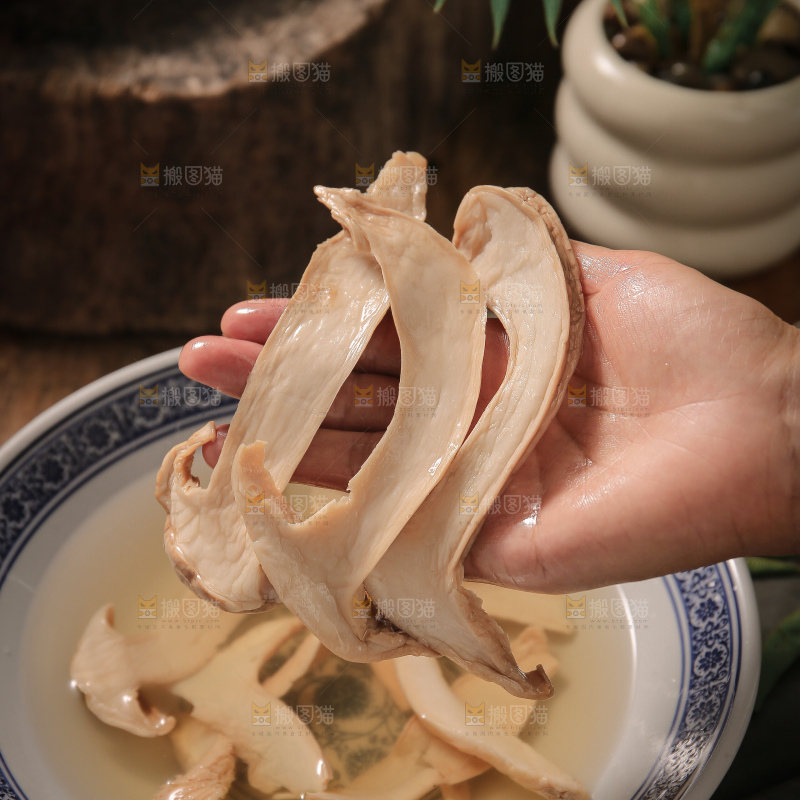 白松茸