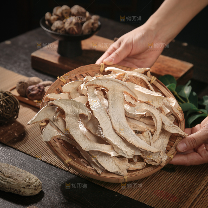 白松茸