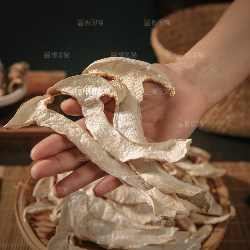 白松茸