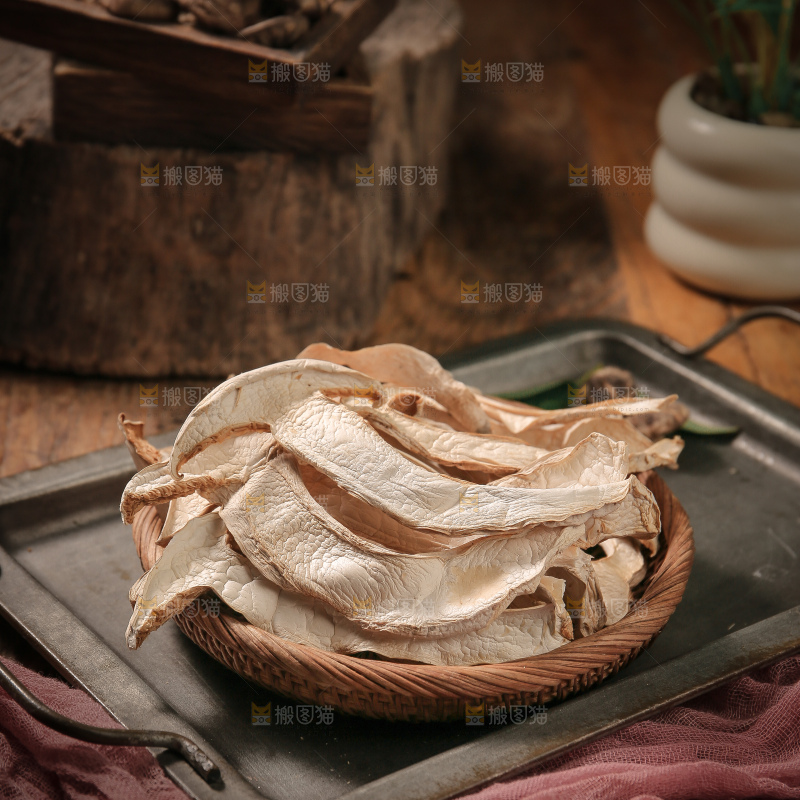 白松茸