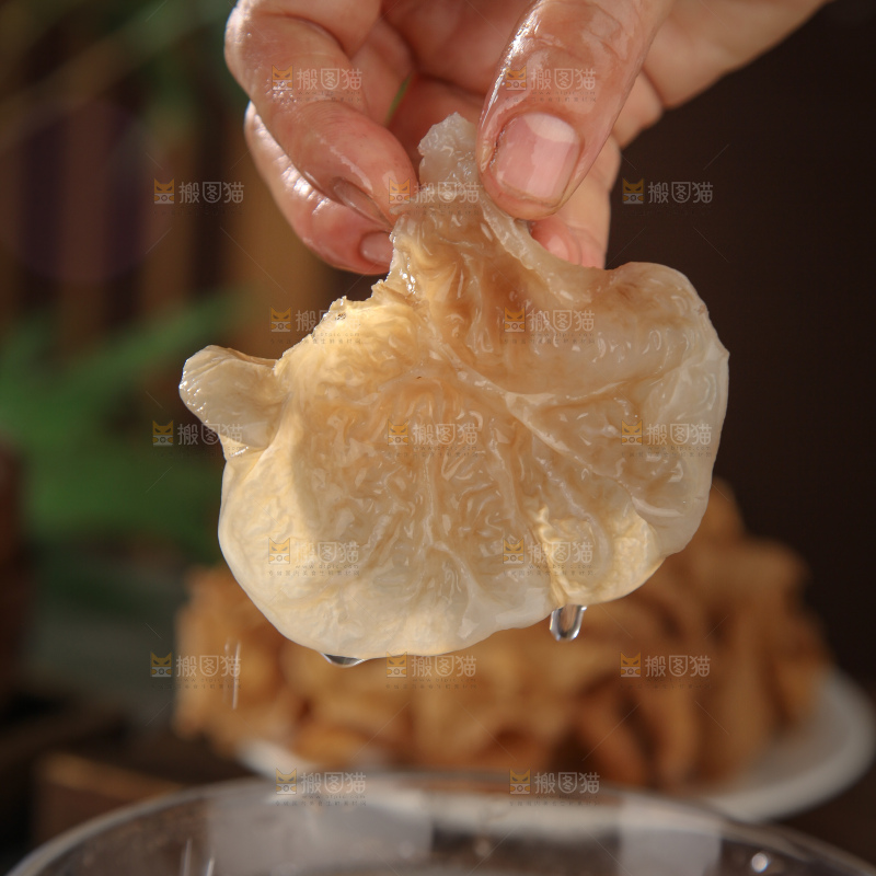 羊肚耳