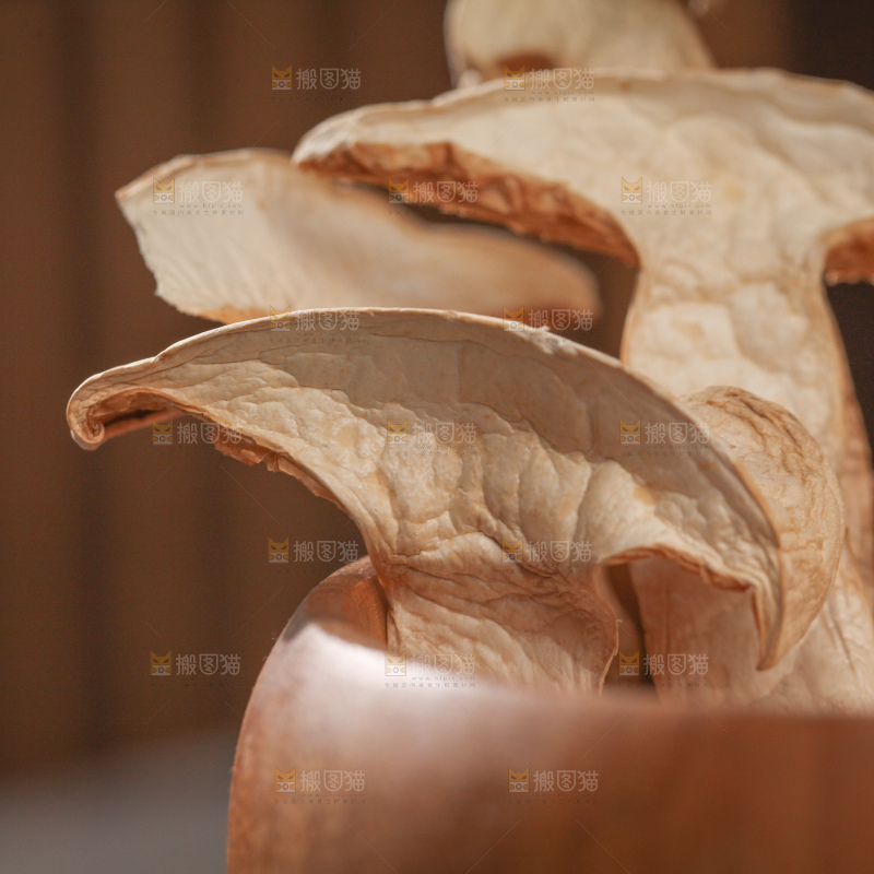 白松茸