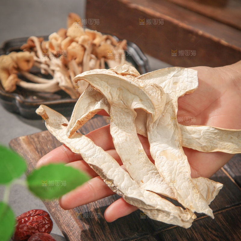 白松茸