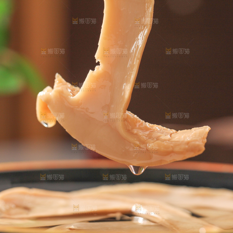 白松茸