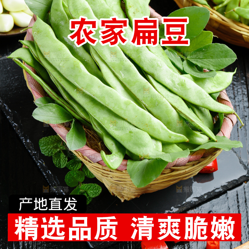 扁豆