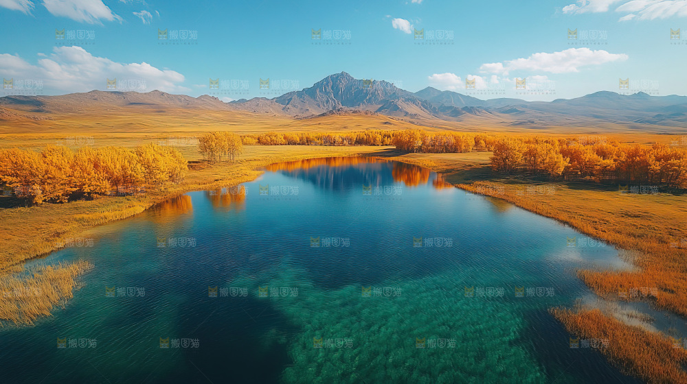 草原风光 蓝天白云 自然和谐