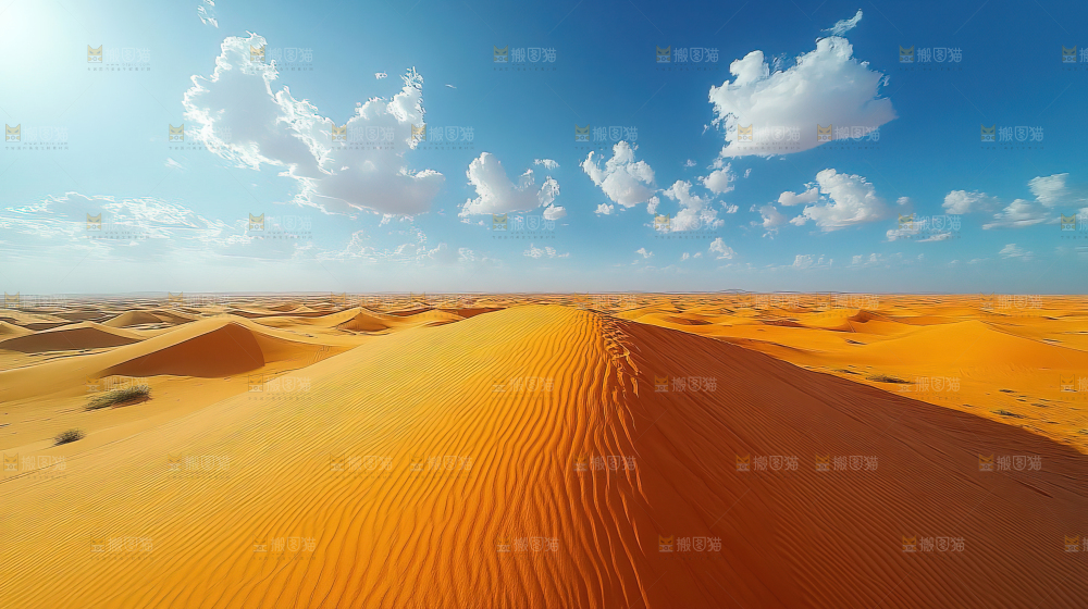 沙漠 自然 景观 绿进沙退