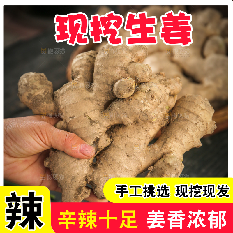 生姜