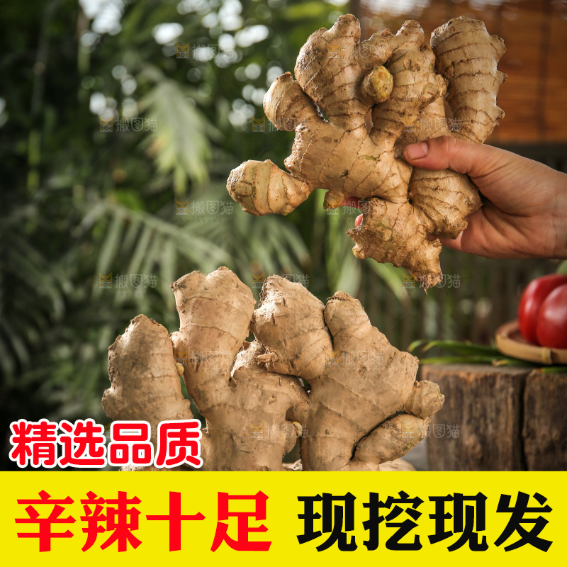 生姜