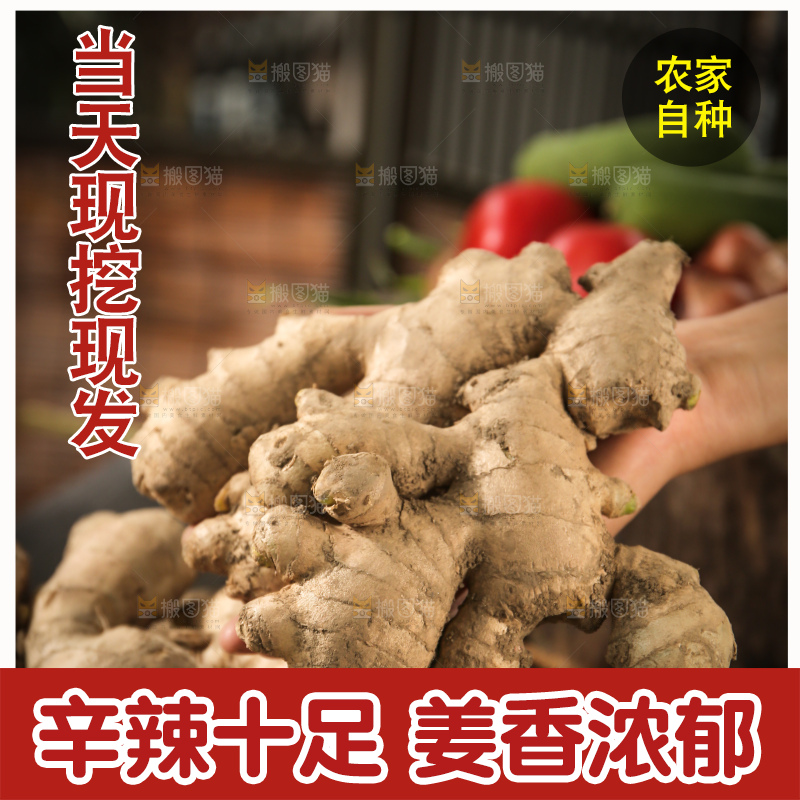 生姜