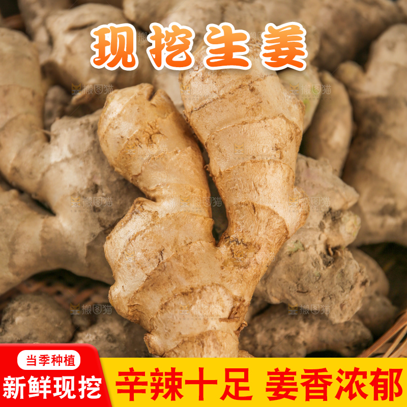 生姜