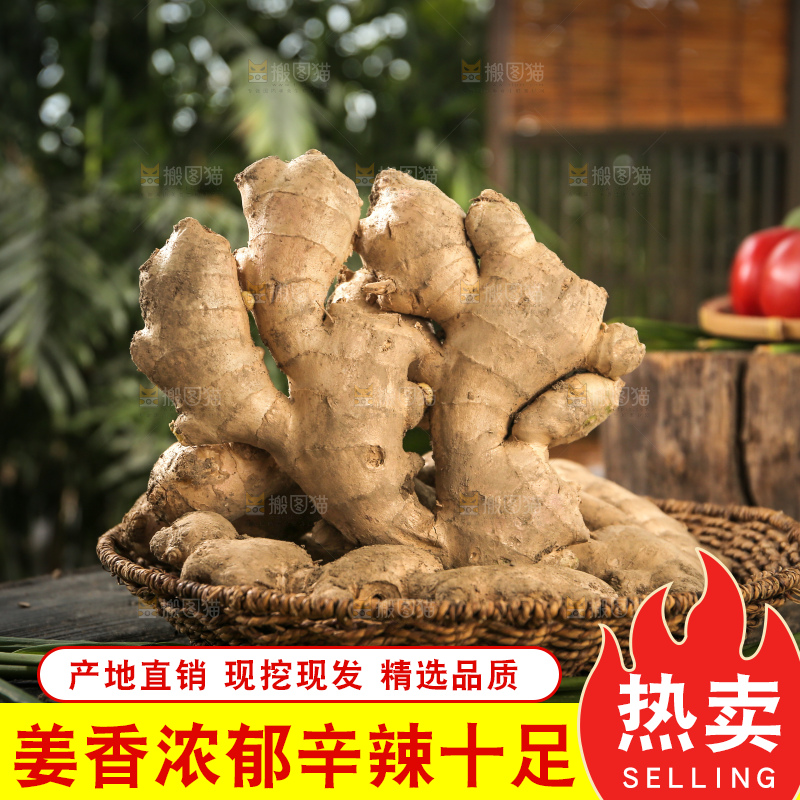 生姜