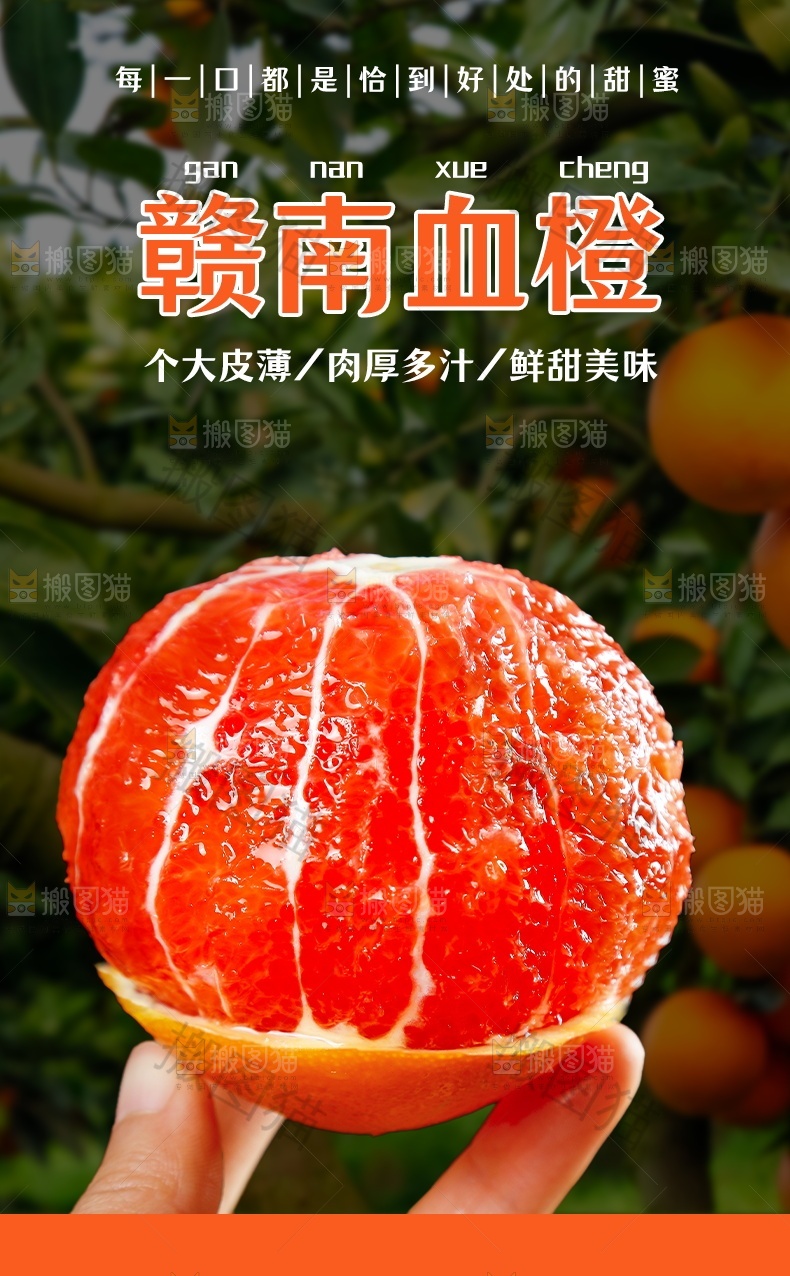 赣南血橙详情页