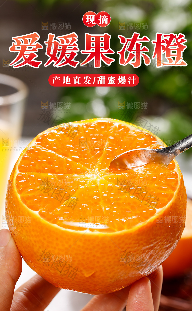 爱媛果冻橙详情页