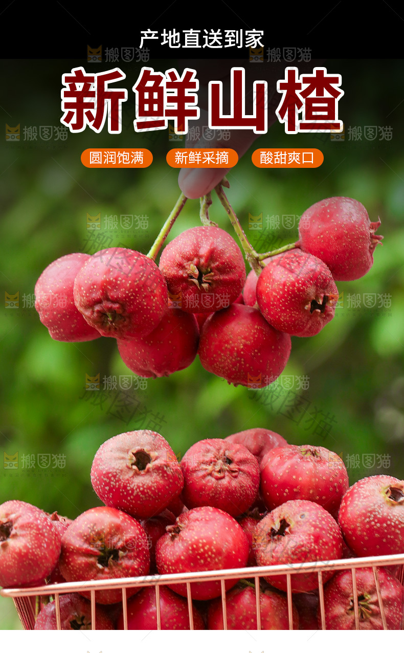 山楂详情页