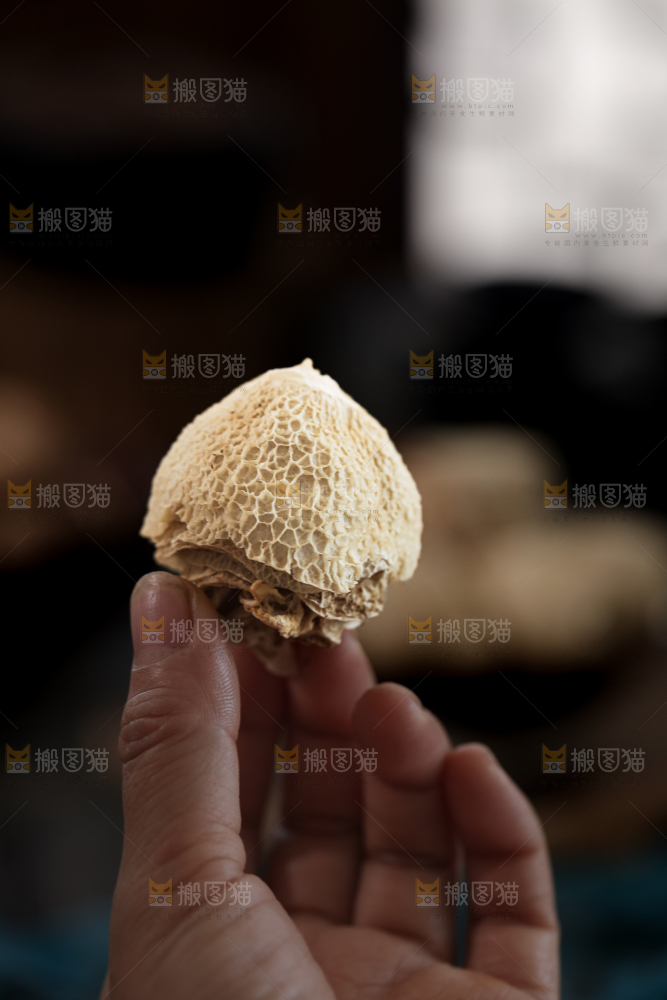 竹毛肚