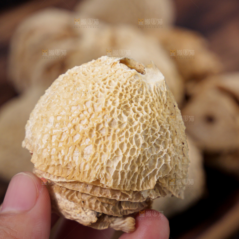 竹毛肚
