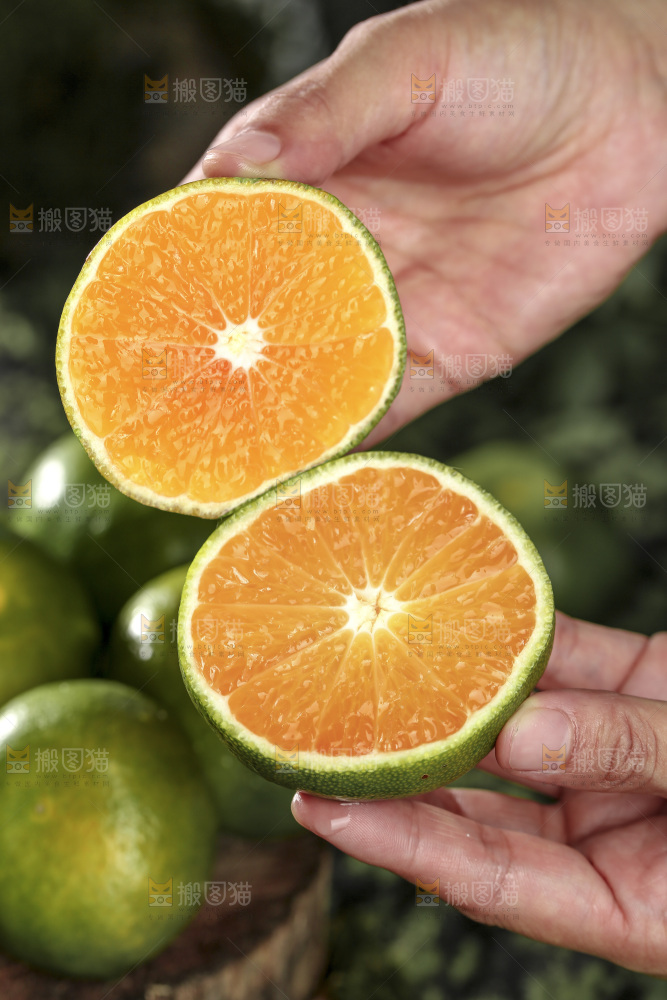 青皮蜜桔