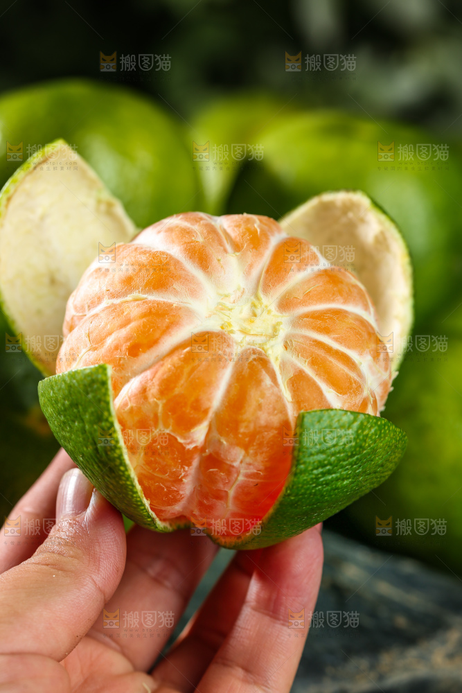 青皮蜜桔