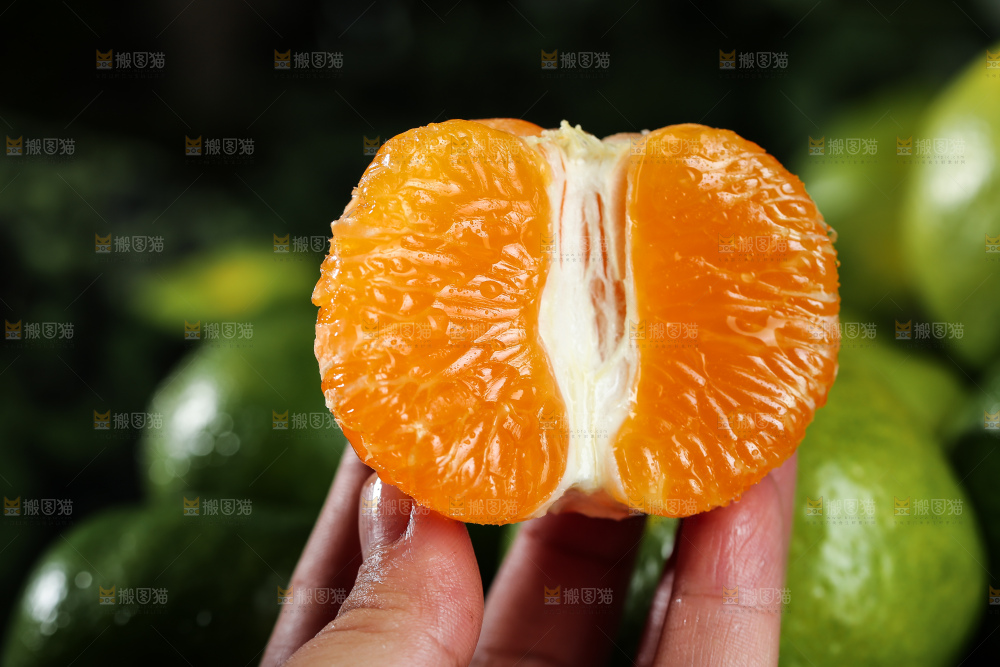 青皮蜜桔