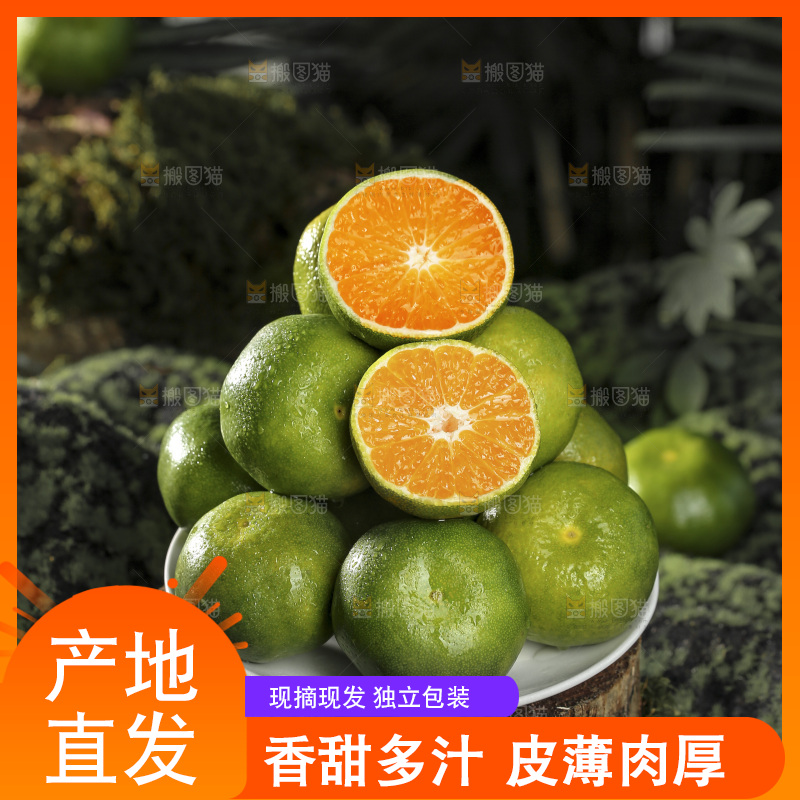 青皮蜜桔