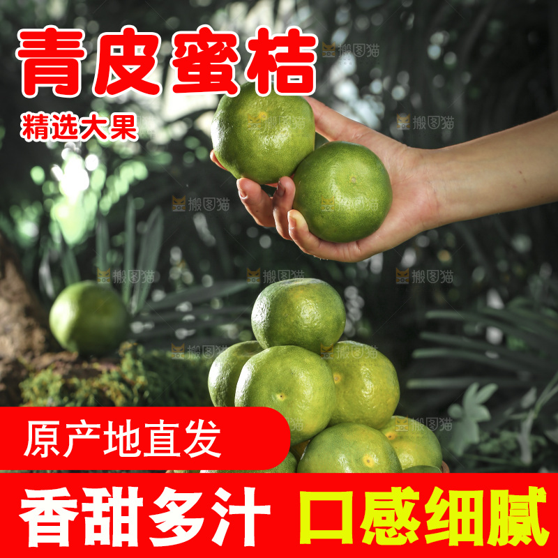 青皮蜜桔