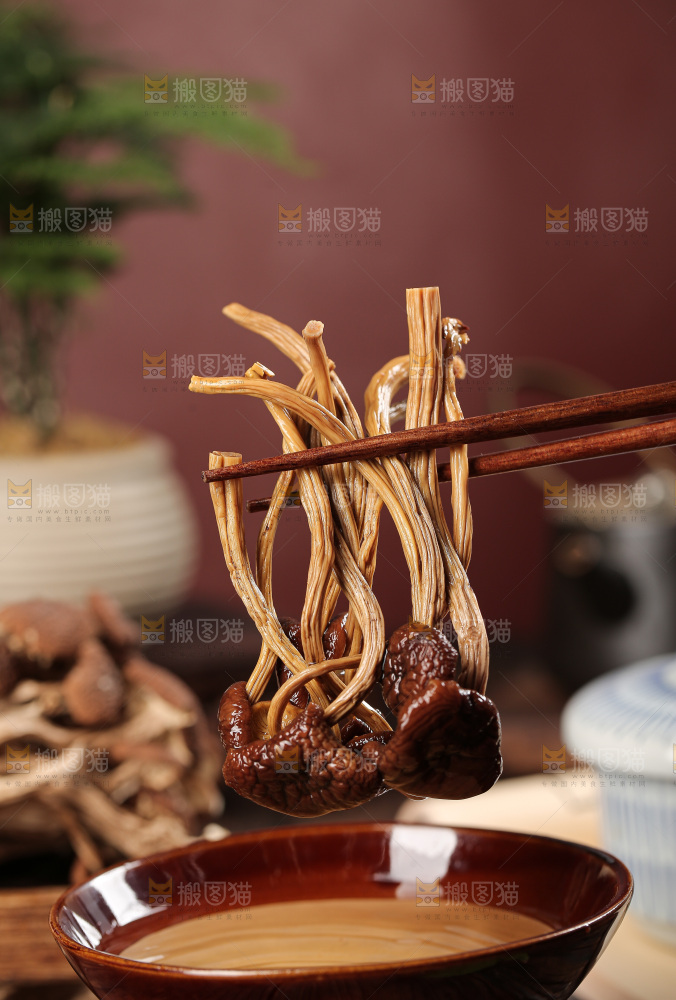 茶树菇