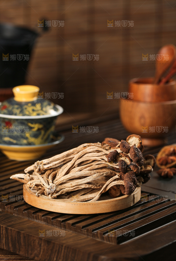 茶树菇