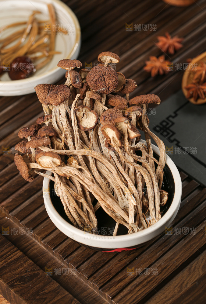 茶树菇