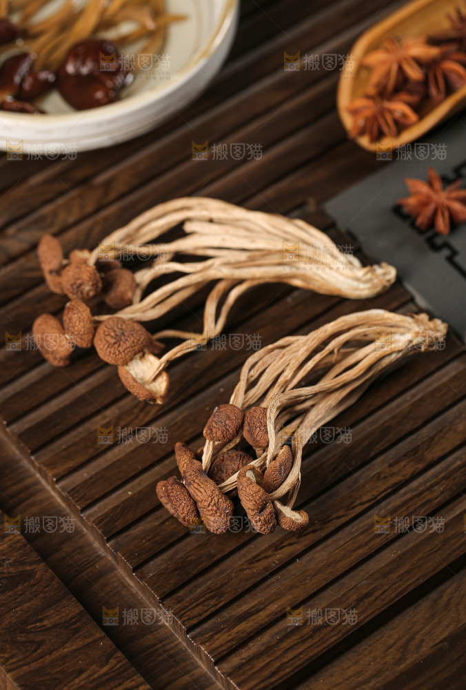 茶树菇