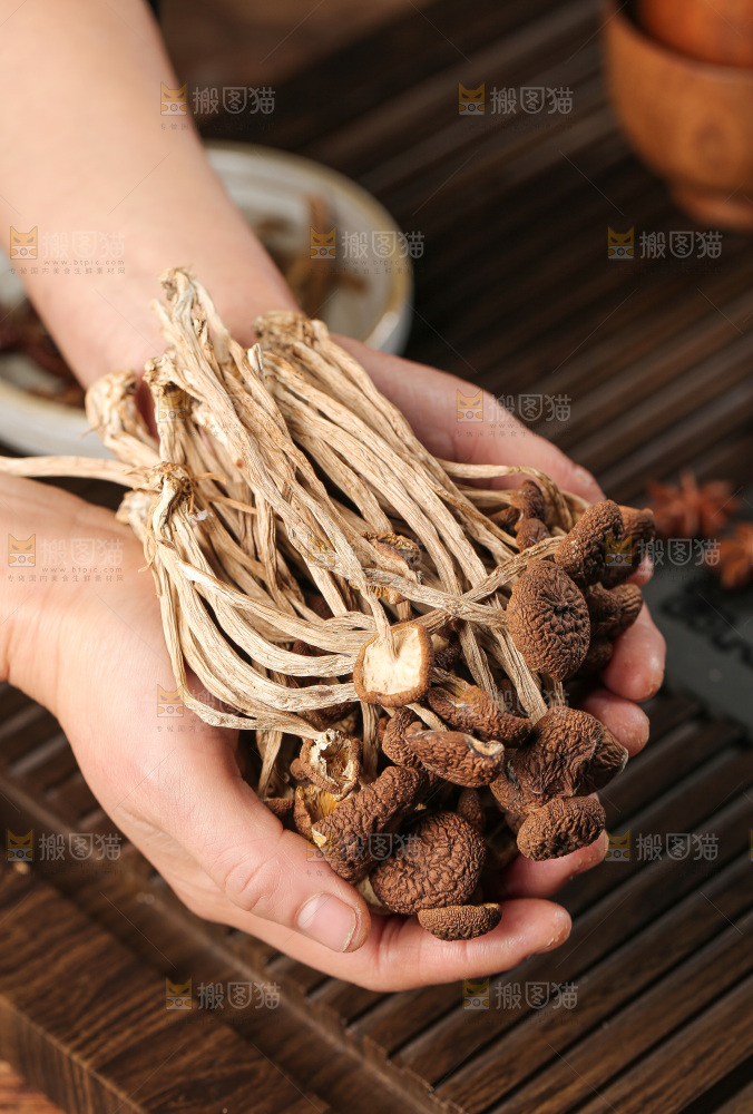 茶树菇
