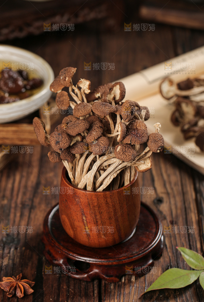 茶树菇