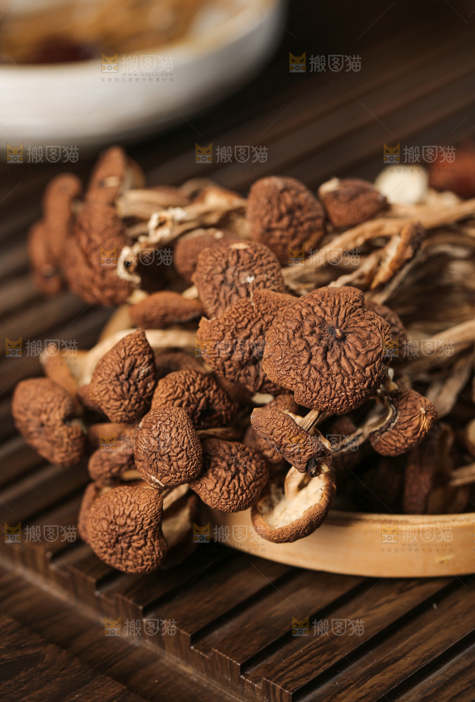 茶树菇