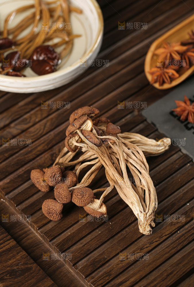 茶树菇