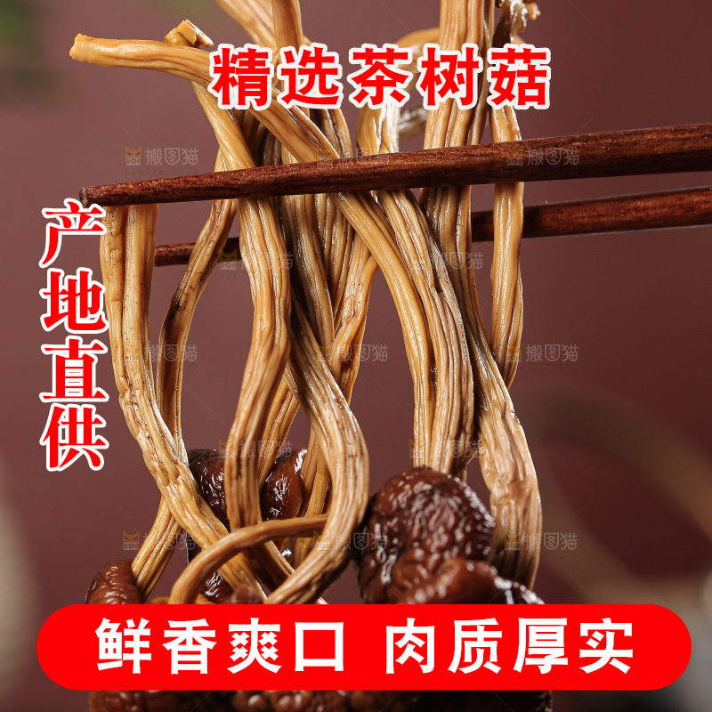 茶树菇