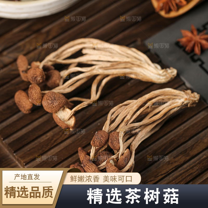 茶树菇