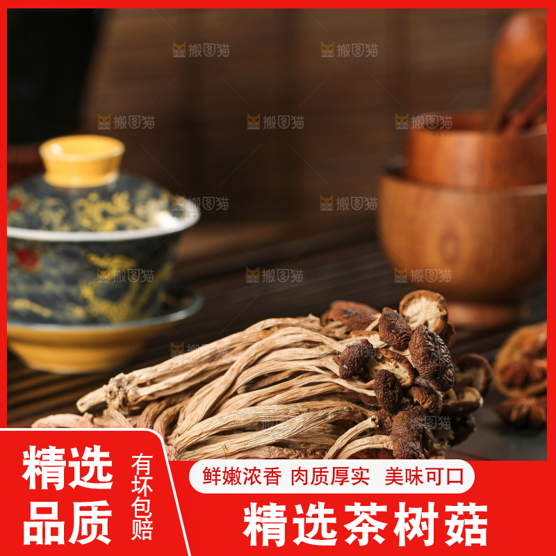 茶树菇