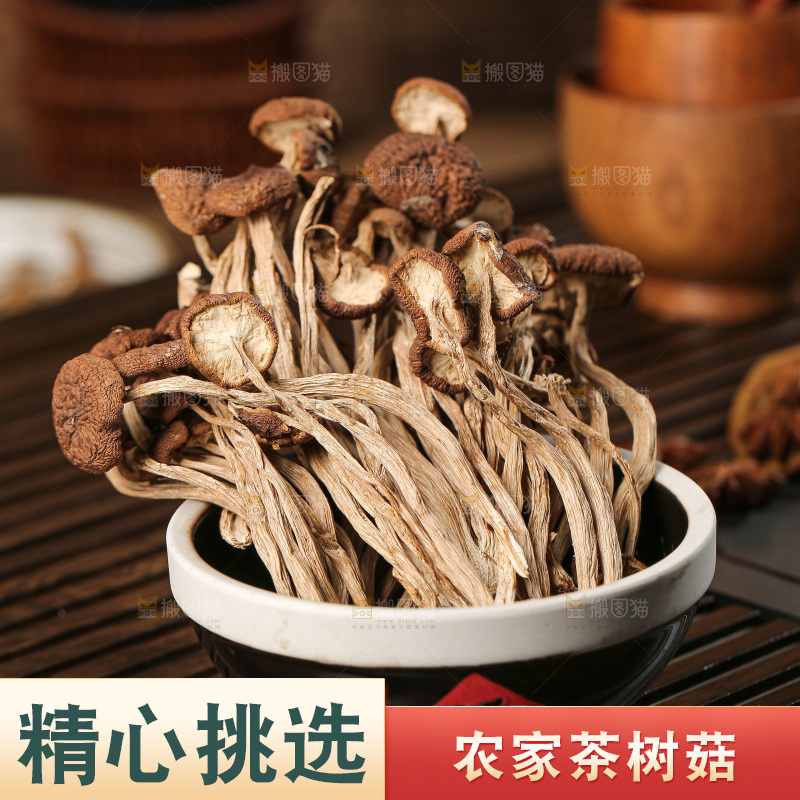 茶树菇