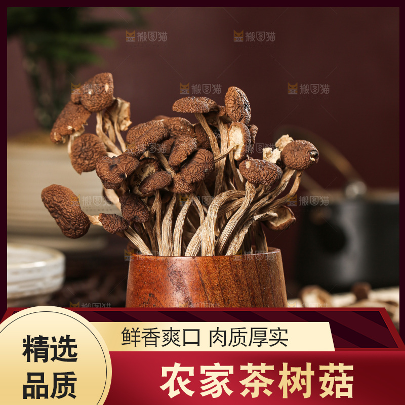 茶树菇