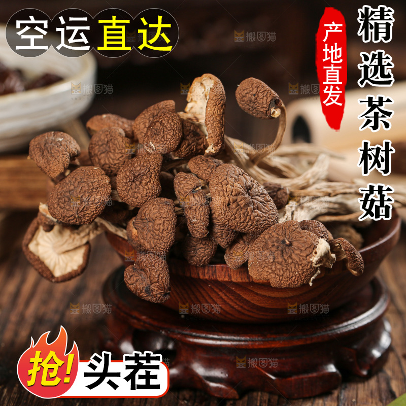 茶树菇