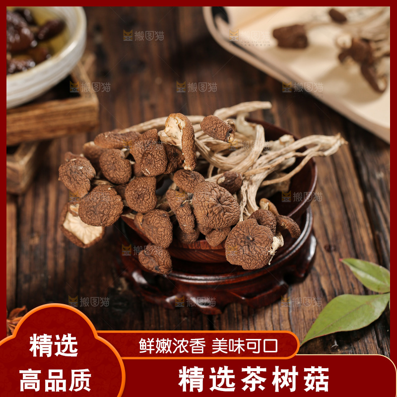 茶树菇