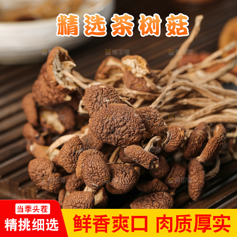 茶树菇