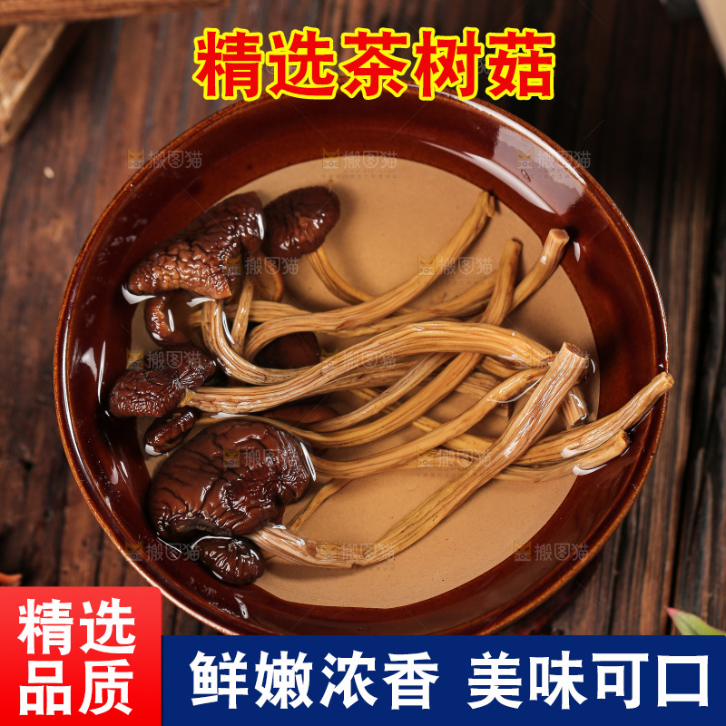 茶树菇