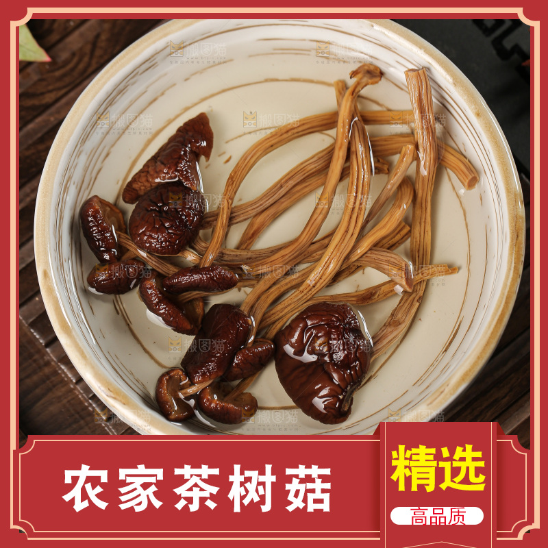 茶树菇