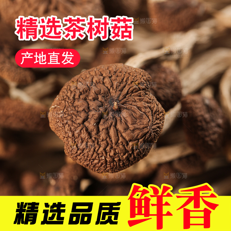 茶树菇