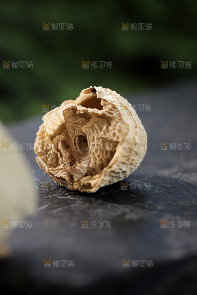 竹毛肚