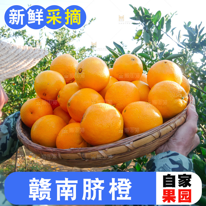 赣南脐橙
