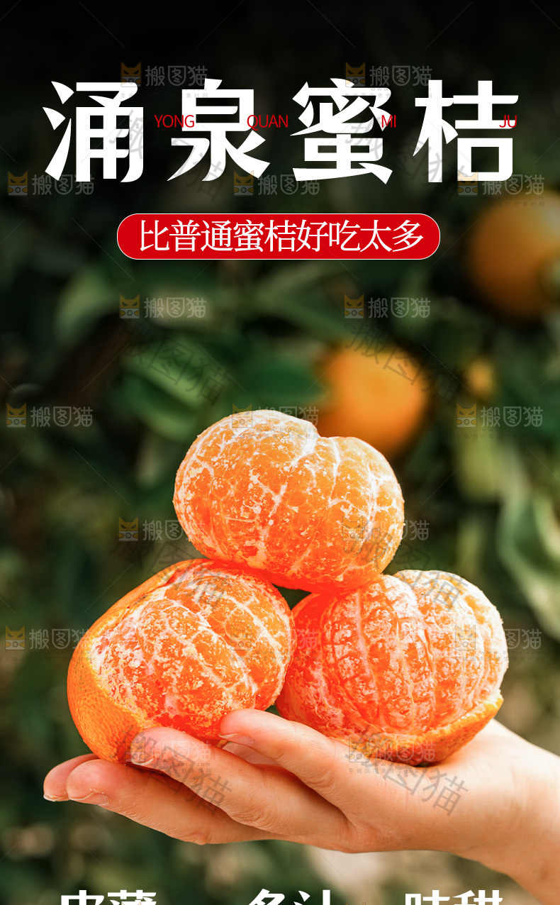 涌泉蜜桔详情页